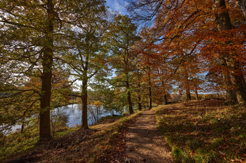 Autumn trees path - Copy This landscape photograph depicts a rural path bordered by autumn trees with a mix of green, orange, and brown foliage. Taken in late morning during the autumn season, the scene captures the tranquil atmosphere of the countryside in England, United Kingdom. To the left, a reflective body of water is partially visible through the trees, enhancing the natural beauty of the area surrounding Hardwick Hall. The autumn colors and soft daylight highlight the unique character of this rural location, with the woodland path inviting exploration.